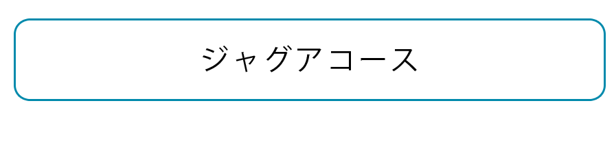 ROSYジェルネイル独立開業スクールコース